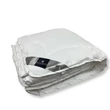 BAMBUSZ light paplan