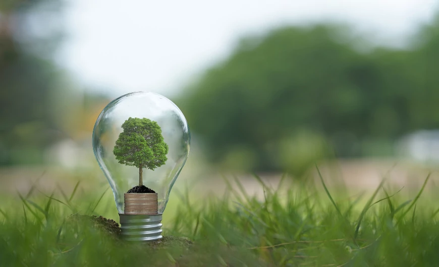 A Billerbeck törekvései a környezeti fenntarthatóság érdekében